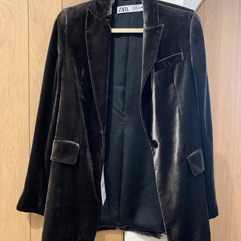 Zara Velvet Blazer